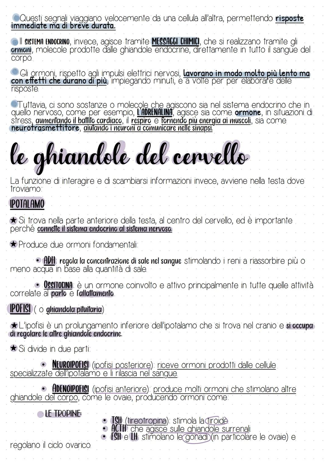 # il sistema endocrino
CHIANDOLE
SURRENALI
IPOFISI
PARATIROIDE
OVAIE
IPOTALAMO
EPIFISI
TIROIDE
TIMO
-PANCREAS
TESTICOLI
Il sistem