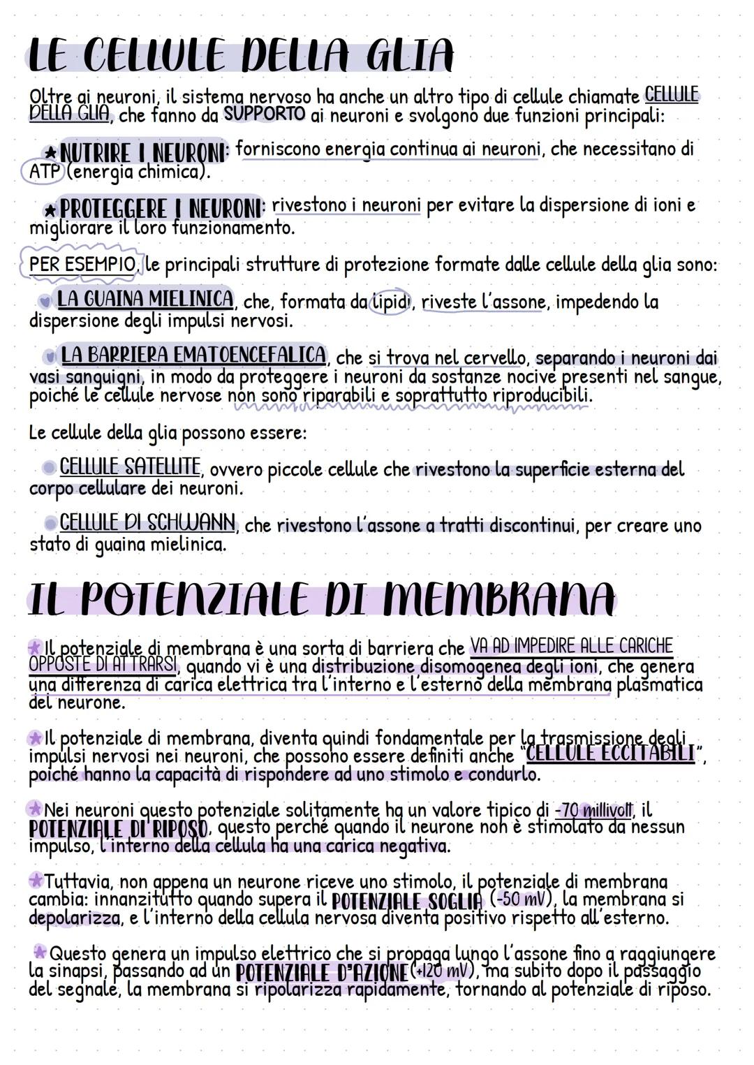 # il sistema nervoso
CHE COS'È E CHE FUNZIONI SVOLGE?
★ Il sistema nervoso è un sistema che si estende in tutto il corpo e serve a control