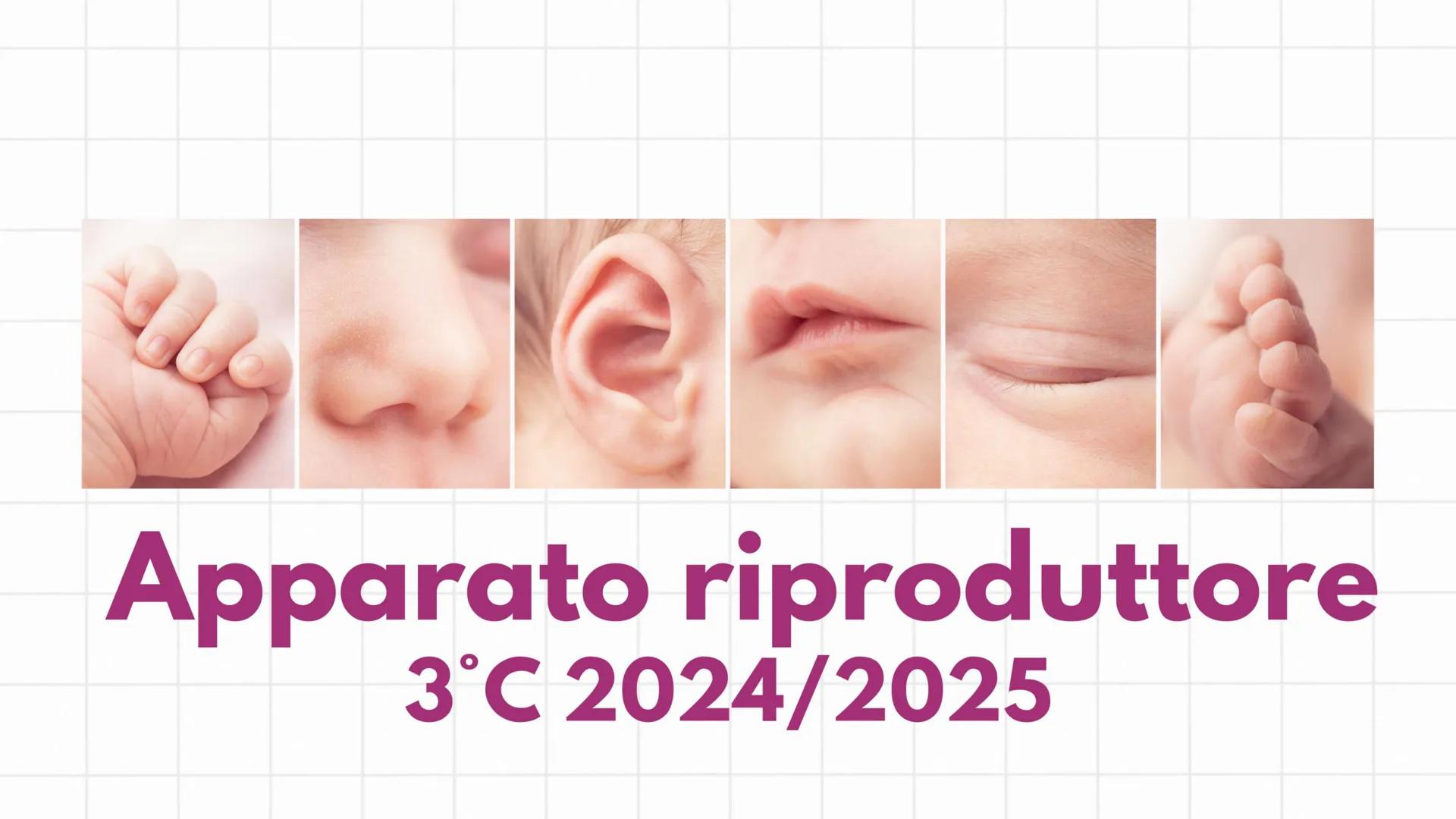# Apparato riproduttore
3°C 2024/2025 # Gameti e gonadi
Nella specie umana la riproduzione è di tipo sessuale: si
realizza con l'unione de