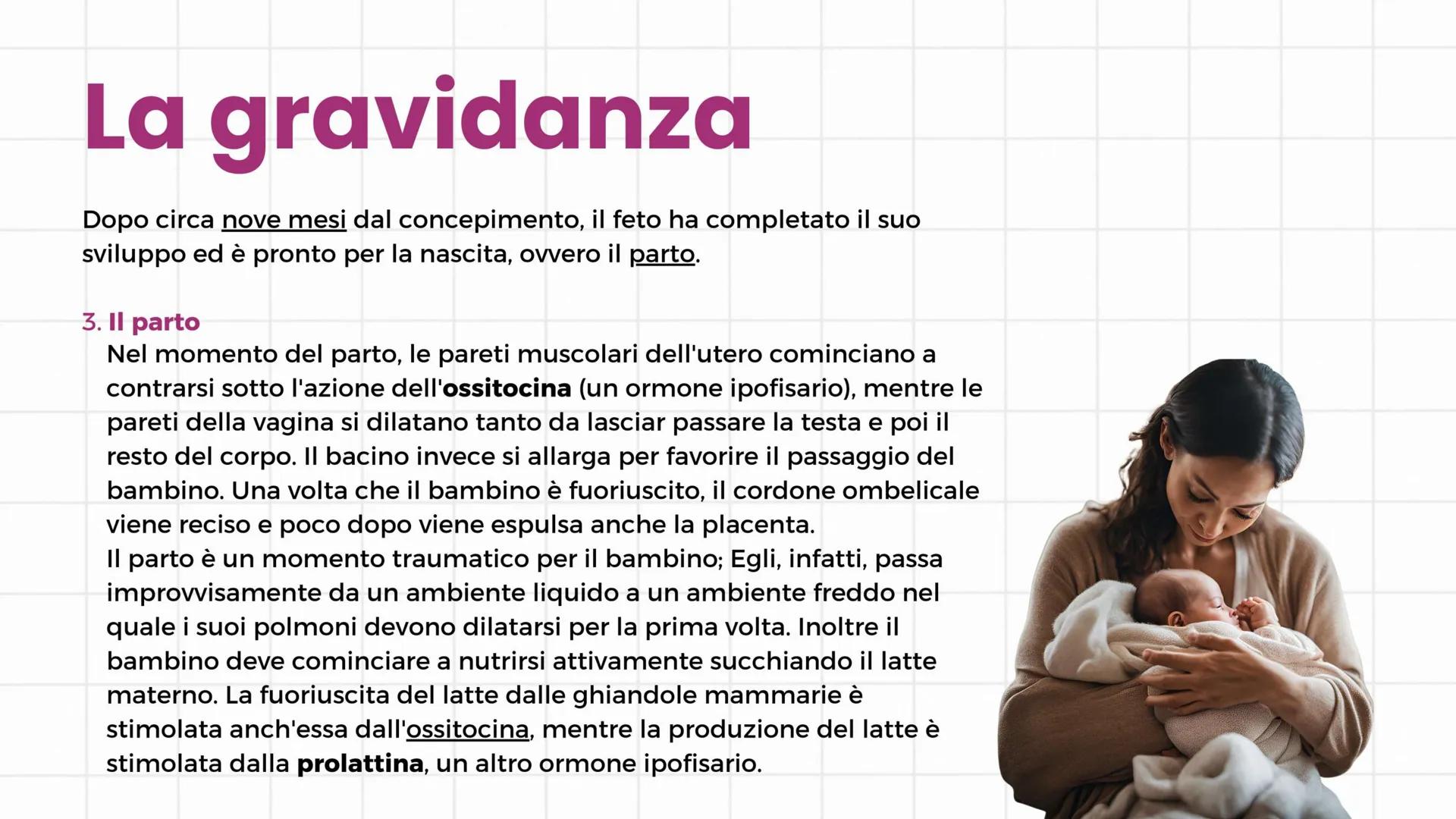# Apparato riproduttore
3°C 2024/2025 # Gameti e gonadi
Nella specie umana la riproduzione è di tipo sessuale: si
realizza con l'unione de