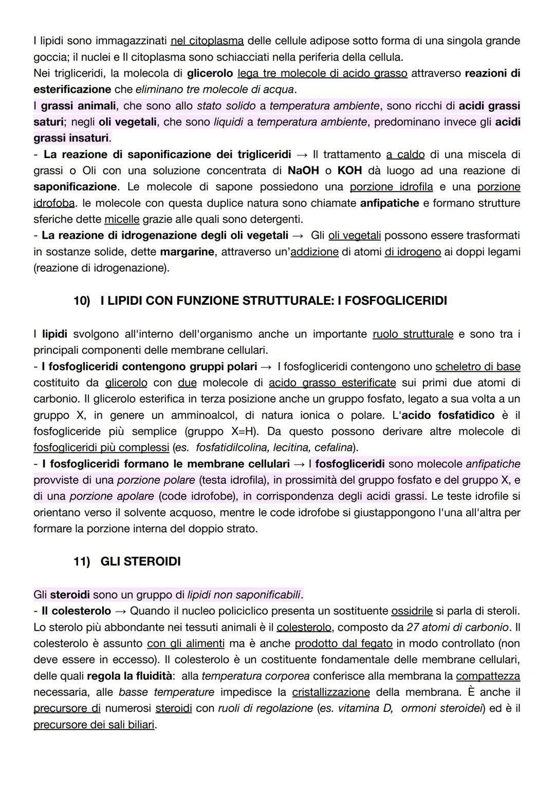 # CAPITOLO B1 - LE BIOMOLECOLE: STRUTTURA E FUNZIONI
1) DAI POLIMERI ALLE BIOMOLECOLE
La biochimica comprende lo studio delle biomolecole,