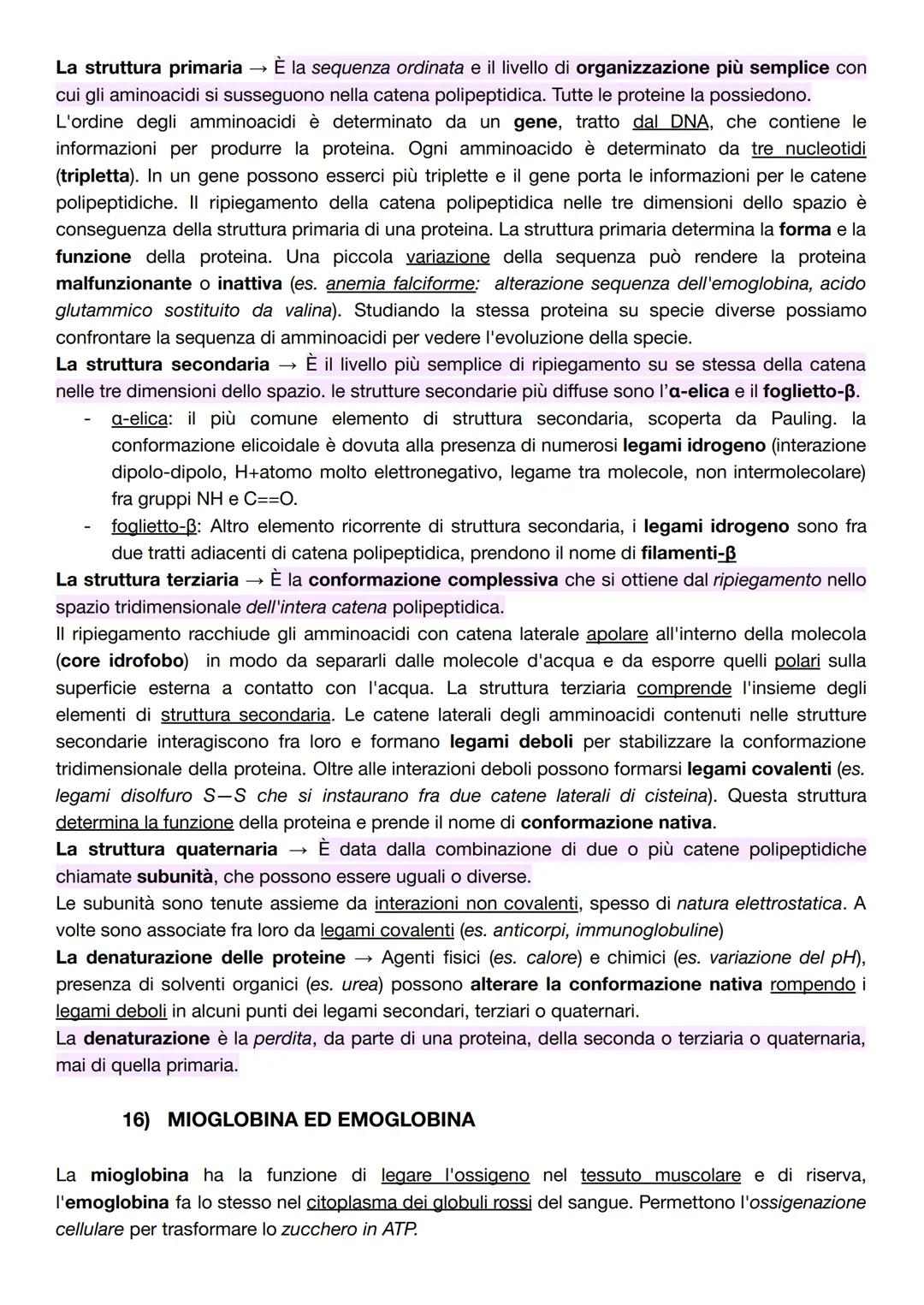 # CAPITOLO B1 - LE BIOMOLECOLE: STRUTTURA E FUNZIONI
1) DAI POLIMERI ALLE BIOMOLECOLE
La biochimica comprende lo studio delle biomolecole,