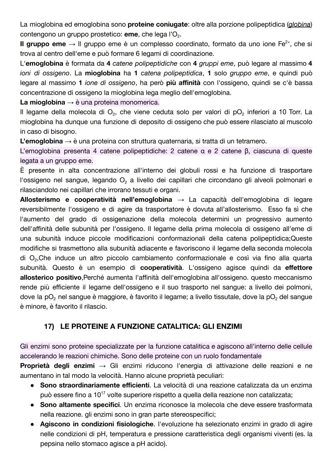 # CAPITOLO B1 - LE BIOMOLECOLE: STRUTTURA E FUNZIONI
1) DAI POLIMERI ALLE BIOMOLECOLE
La biochimica comprende lo studio delle biomolecole,