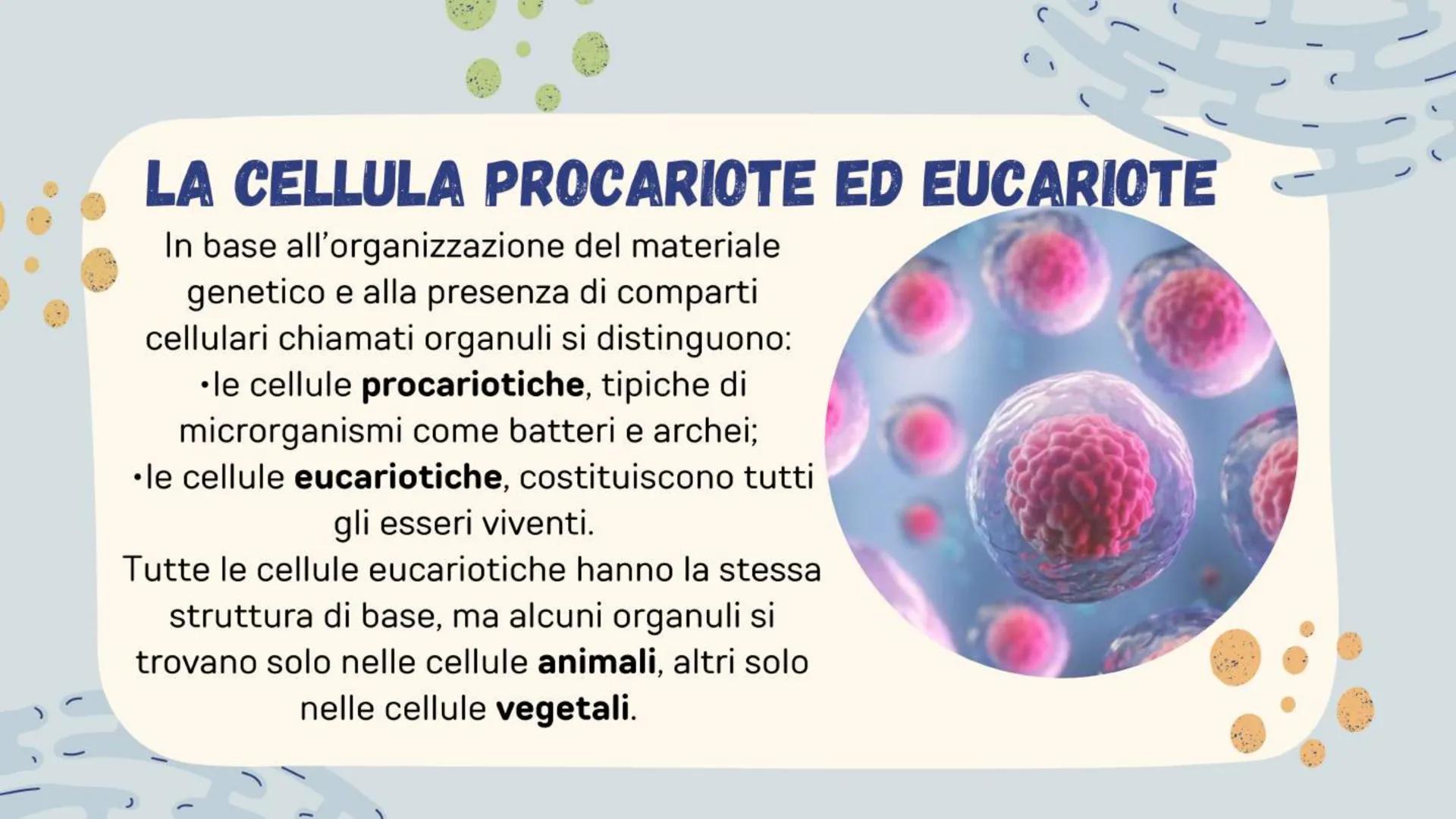 # LA CELLULA ANIMALE
# E VEGETALE
Alice Casalone # LA CELLULA ANIMALE
# E VEGETALE
Alice Casalone # LA CELLULA
Tutti gli organismi vivent