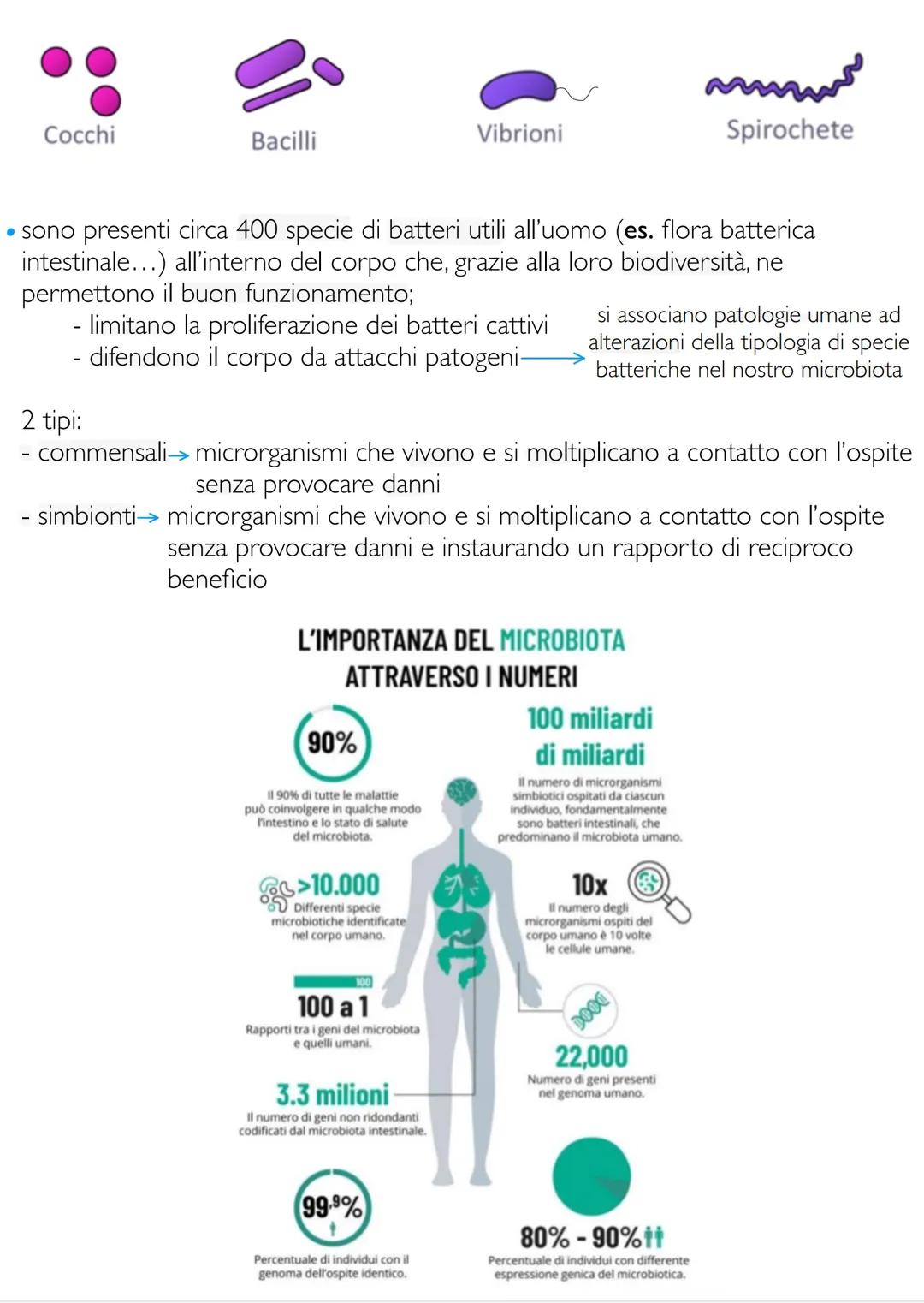 # Biologia e fondamenti
di genetica
LE CARATTERISTICHE FONDAMENTALI DEGLI
ORGANISMI VIVENTI
gli esseri viventi sono accomunati dal consegu