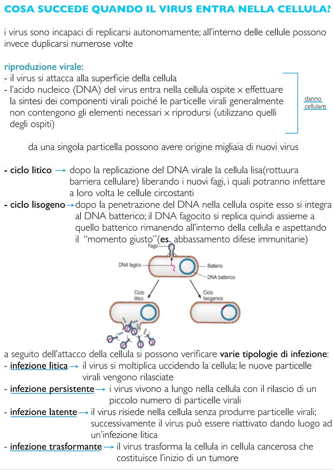 # Biologia e fondamenti
di genetica
LE CARATTERISTICHE FONDAMENTALI DEGLI
ORGANISMI VIVENTI
gli esseri viventi sono accomunati dal consegu