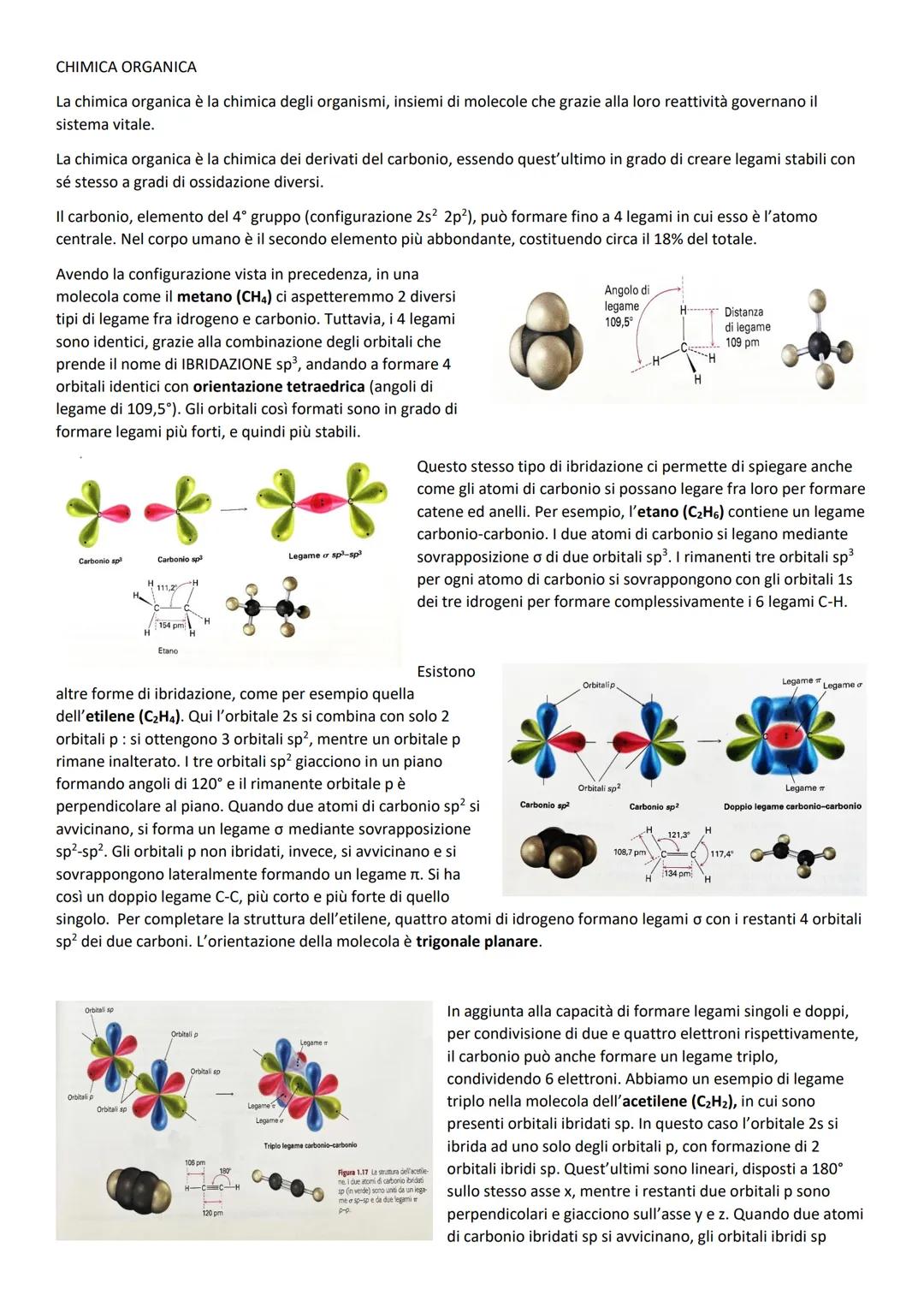 # CHIMICA ORGANICA
La chimica organica è la chimica degli organismi, insiemi di molecole che grazie alla loro reattività governano il
siste