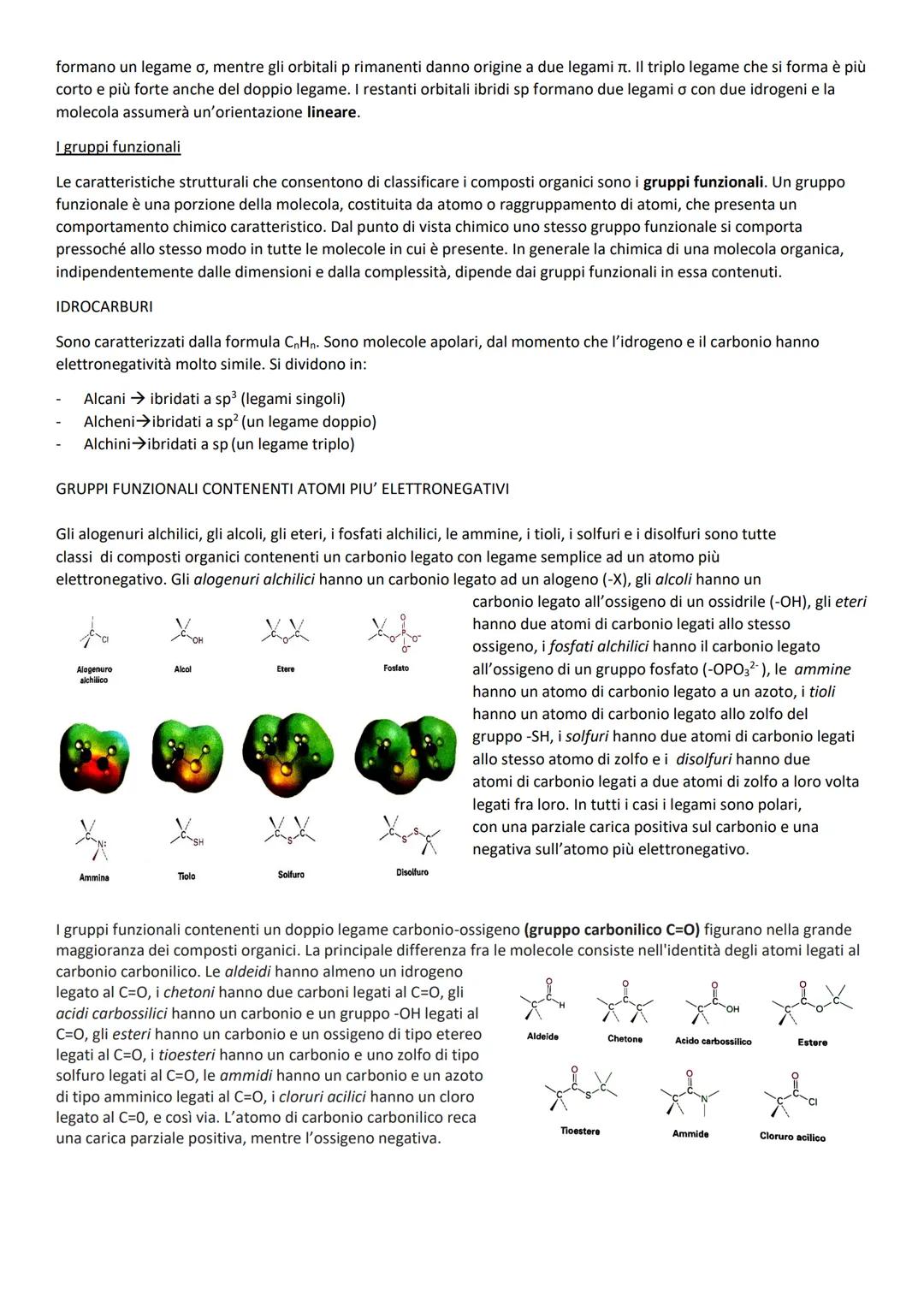 # CHIMICA ORGANICA
La chimica organica è la chimica degli organismi, insiemi di molecole che grazie alla loro reattività governano il
siste