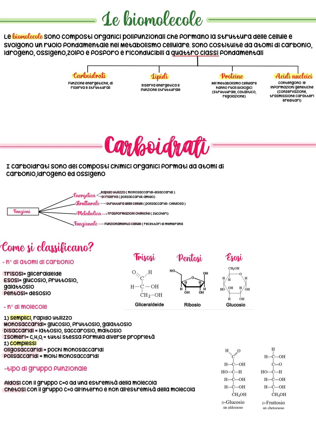 # Le biomolecole
Le biomolecole sono composti organici polifunzionali che formano la struttura delle cellule e
svolgono un ruolo fondamenta