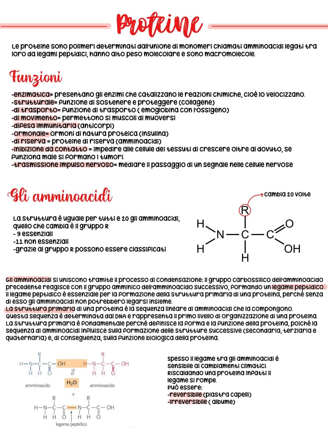 # Le biomolecole
Le biomolecole sono composti organici polifunzionali che formano la struttura delle cellule e
svolgono un ruolo fondamenta