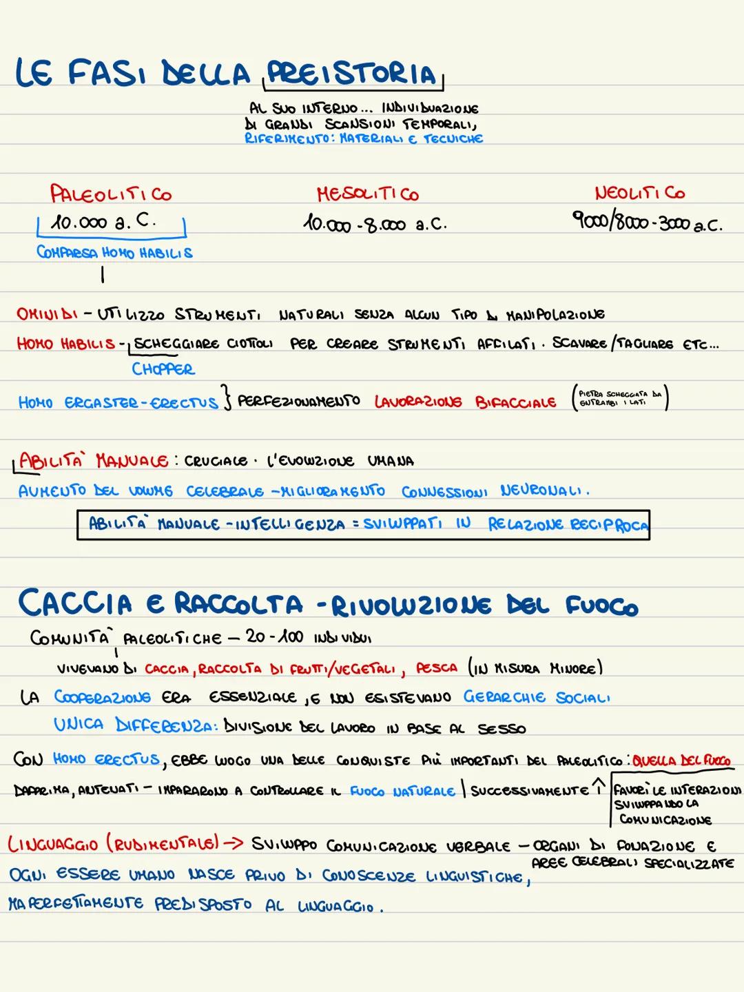 --- OCR Start ---
OMINIDI E OMININI-AUSTRALOPITECHI
IL PROCESSO DI OMINAZIONE → FORMAZIONE SPECIE UMANA.
PUNTO DI PARTENZA → PROCESSO EVOLUT