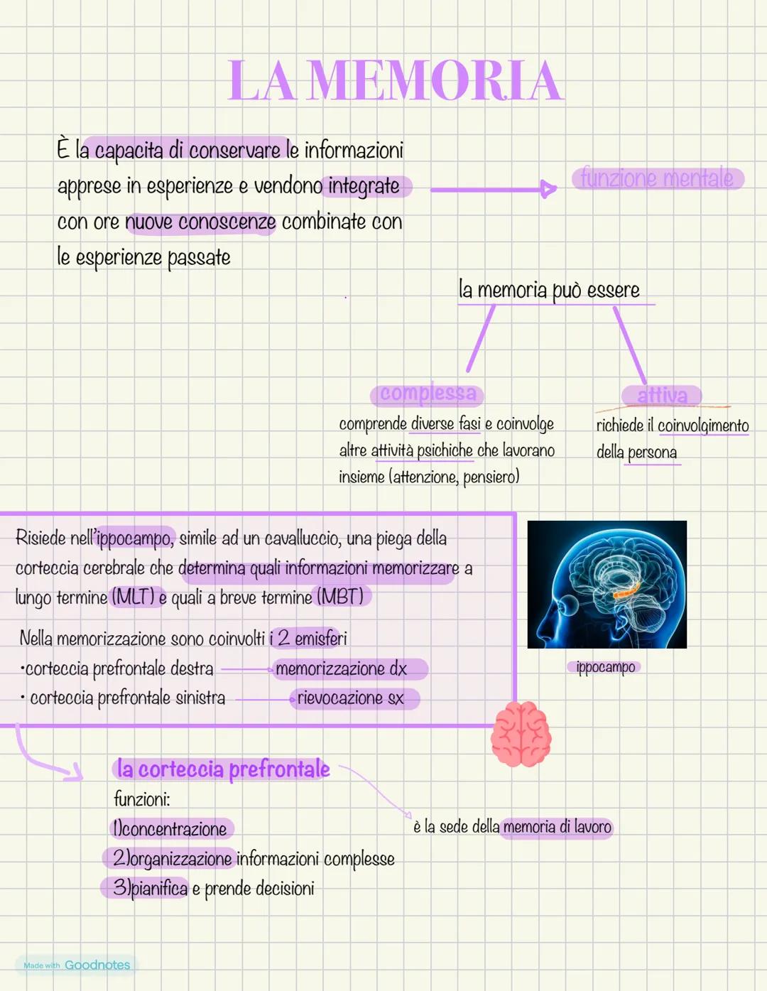 # LA
MEMORIA
È la capacita di conservare le informazioni
apprese in esperienze e vendono integrate
con ore nuove conoscenze combinate con
l