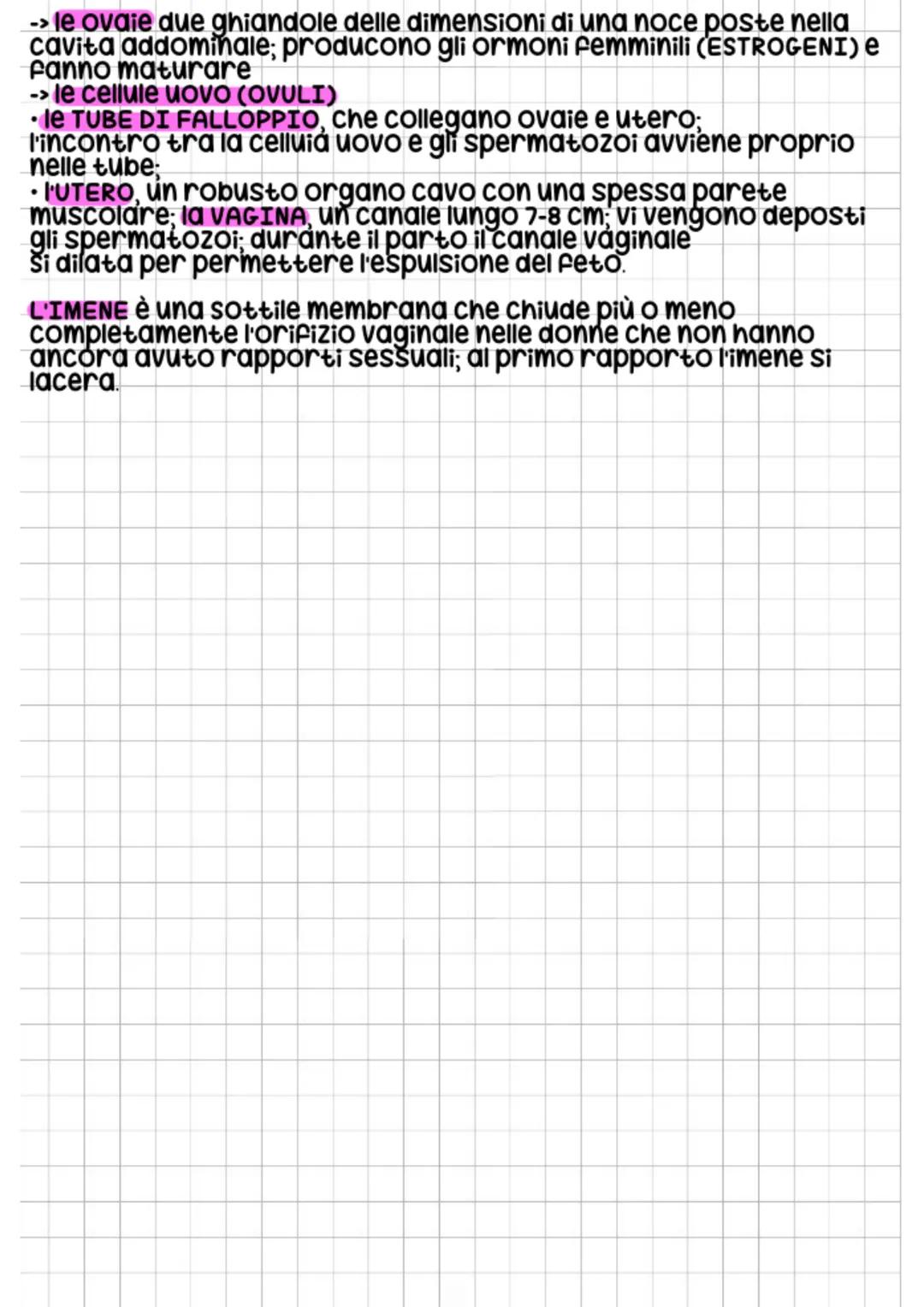 # Apparato
# riprochaltore
con la riproduzione, noi esseri umani generiamo nuovi individui.
Per far avvenire tutto questo, gli organismi d