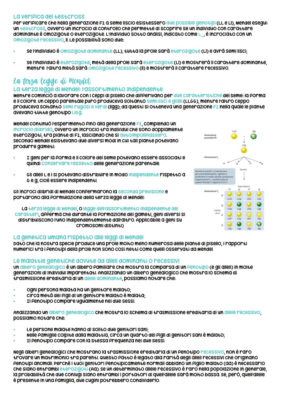 # Mendel e caratteri ereditari
La prima e seconda legge di Mendel
Gregor Mendel e la genetica dell'ottocento
La genetica studia le leggi