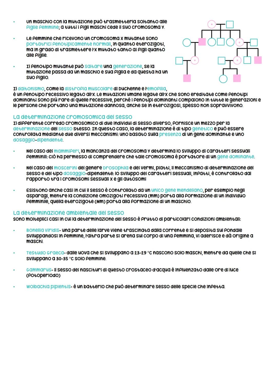 # Mendel e caratteri ereditari
La prima e seconda legge di Mendel
Gregor Mendel e la genetica dell'ottocento
La genetica studia le leggi
