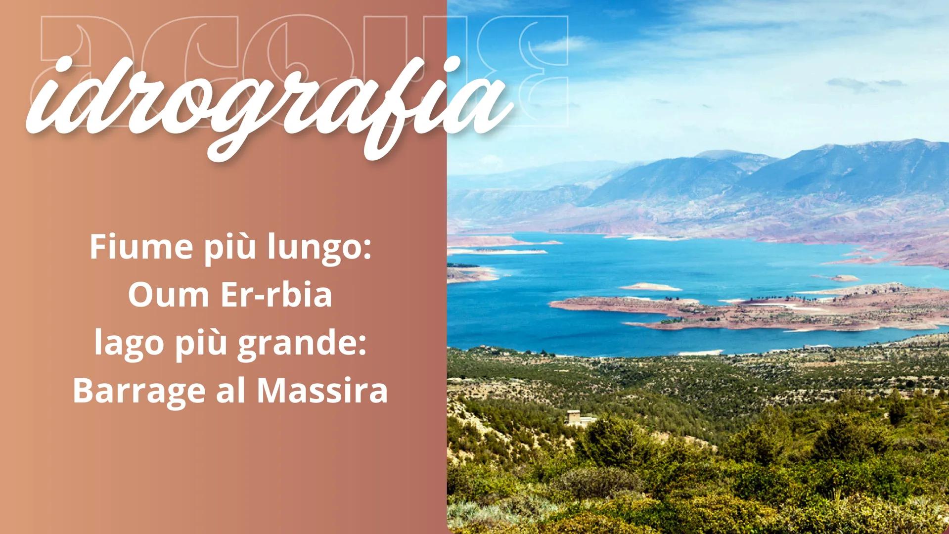 Marocco Sul globo
il Marocco confina:
-con l'Algeria a est
-con il Sahara occidentale a
sud ovest
-Con il Mar Mediterraneo a
nord
-con l'oce