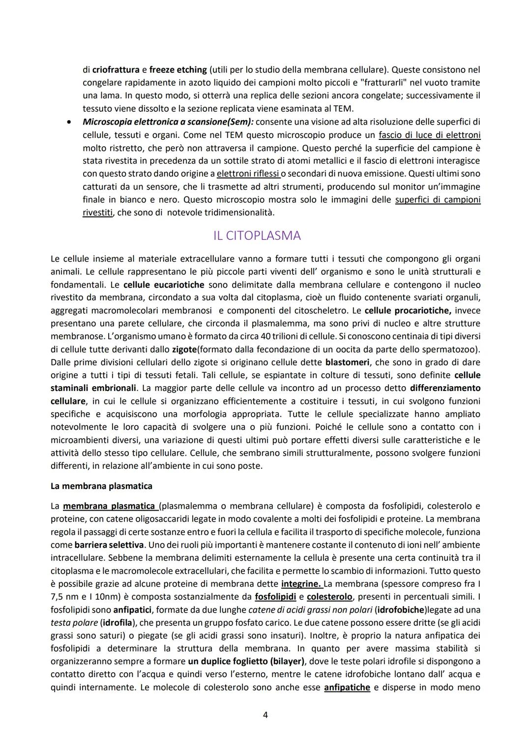 L'ISTOLOGIA E I SUOI METODI DI STUDIO
L'istologia studia i tessuti corporei e come questi si organizzano a formare gli organi. Questi tessut