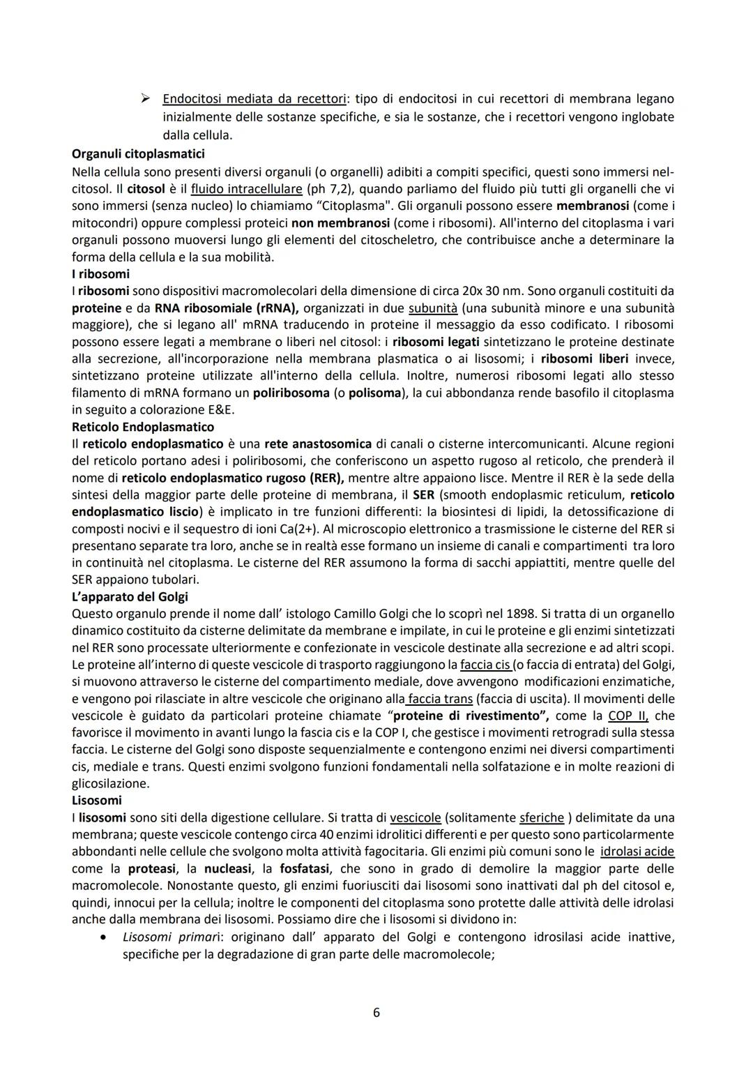 L'ISTOLOGIA E I SUOI METODI DI STUDIO
L'istologia studia i tessuti corporei e come questi si organizzano a formare gli organi. Questi tessut