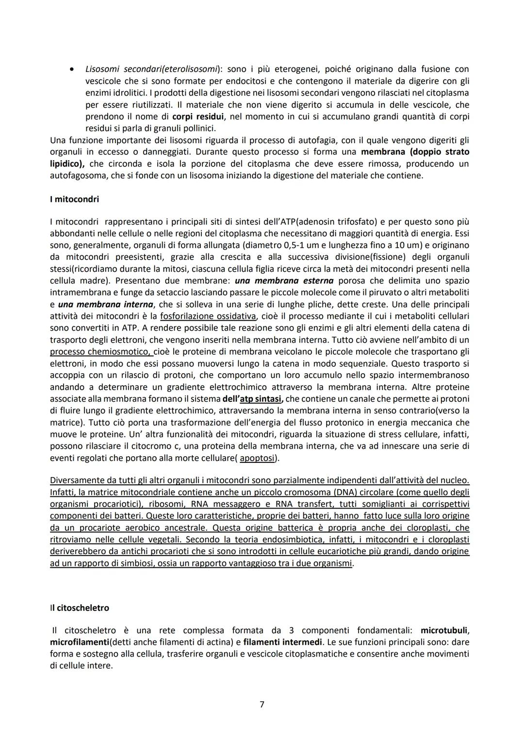 L'ISTOLOGIA E I SUOI METODI DI STUDIO
L'istologia studia i tessuti corporei e come questi si organizzano a formare gli organi. Questi tessut