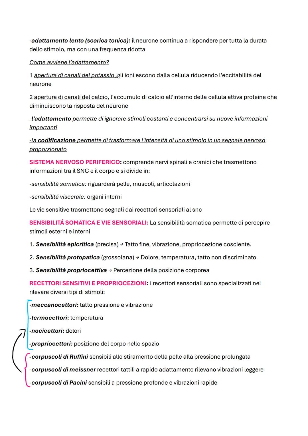 --- OCR Start ---
FISIOLOGIA
OMEOSTASI: capacità dell'organismo di mantenere costanti le condizioni interne
FEEDBACK: consente di correggere