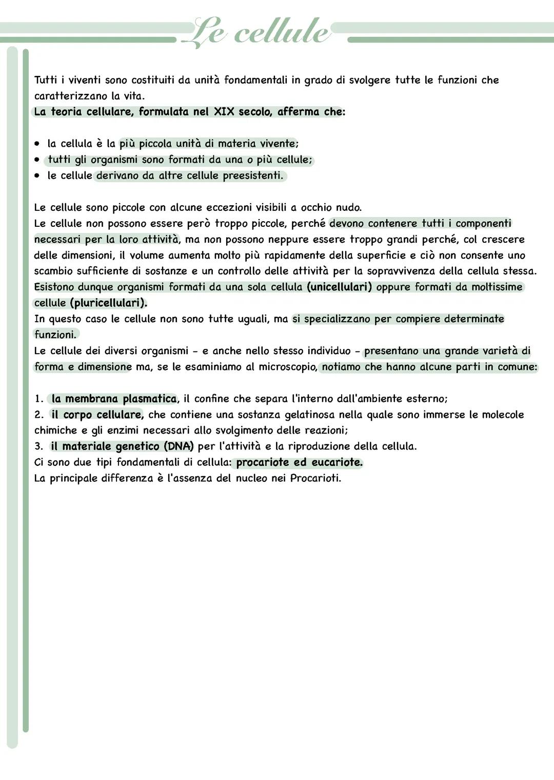 La cellula eucariote e procariote