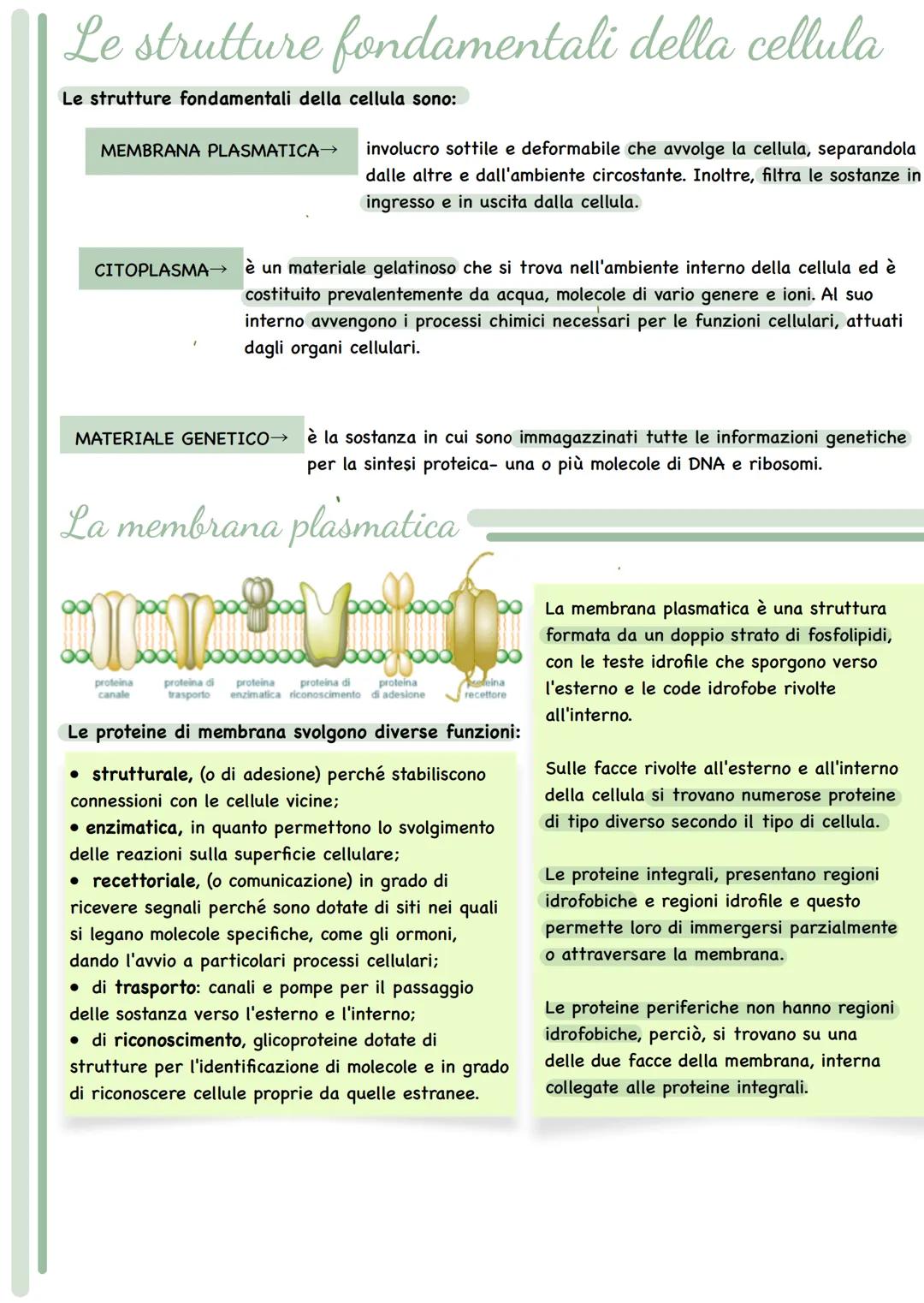 --- OCR Start ---
Le cellule
Tutti i viventi sono costituiti da unità fondamentali in grado di svolgere tutte le funzioni che
caratterizzano