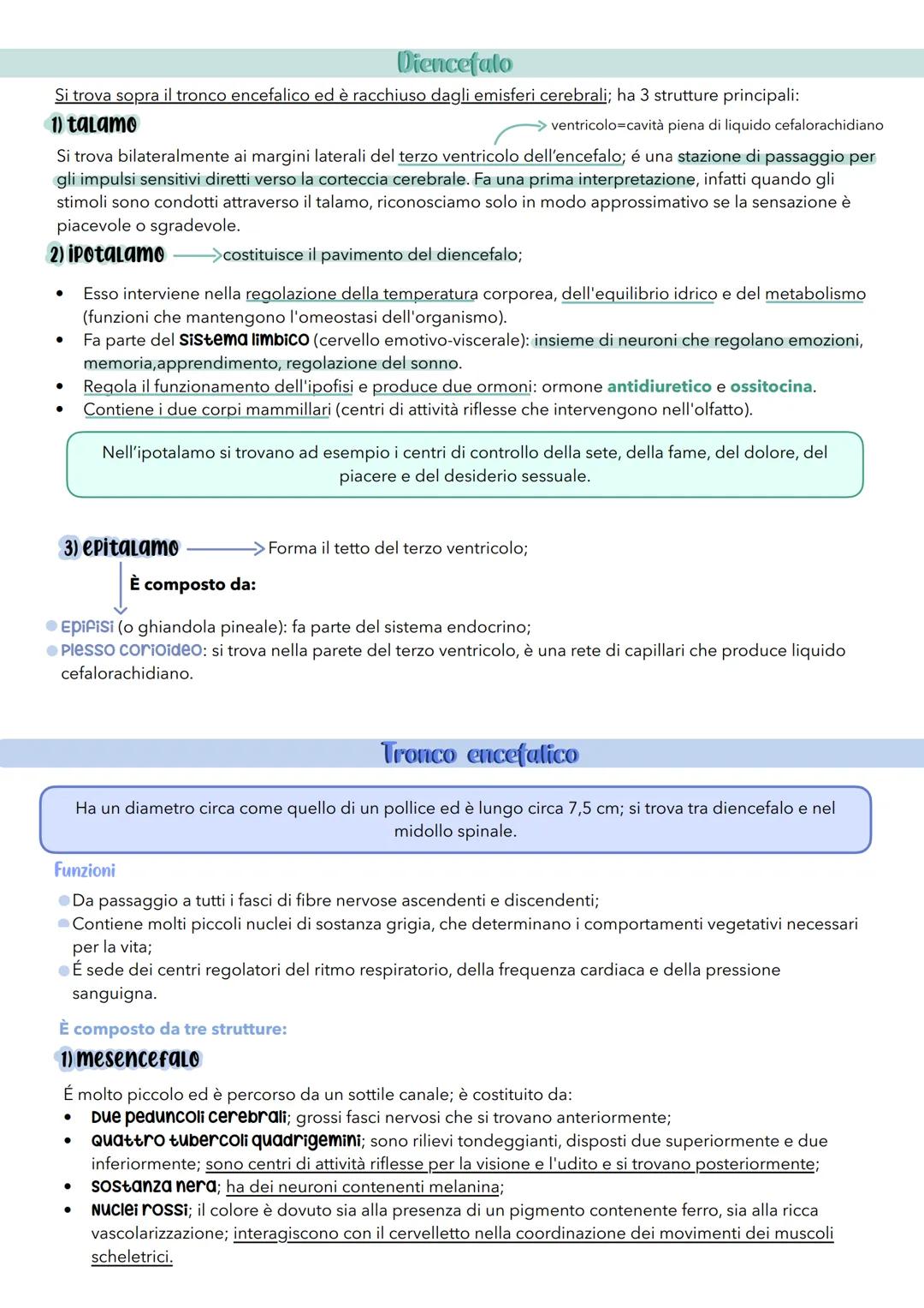 sistema
nerVOSO # Il sistema nervoso
É il principale sistema di comunicazione dell'organismo e per svolgere le sue attività ha 3 funzioni: