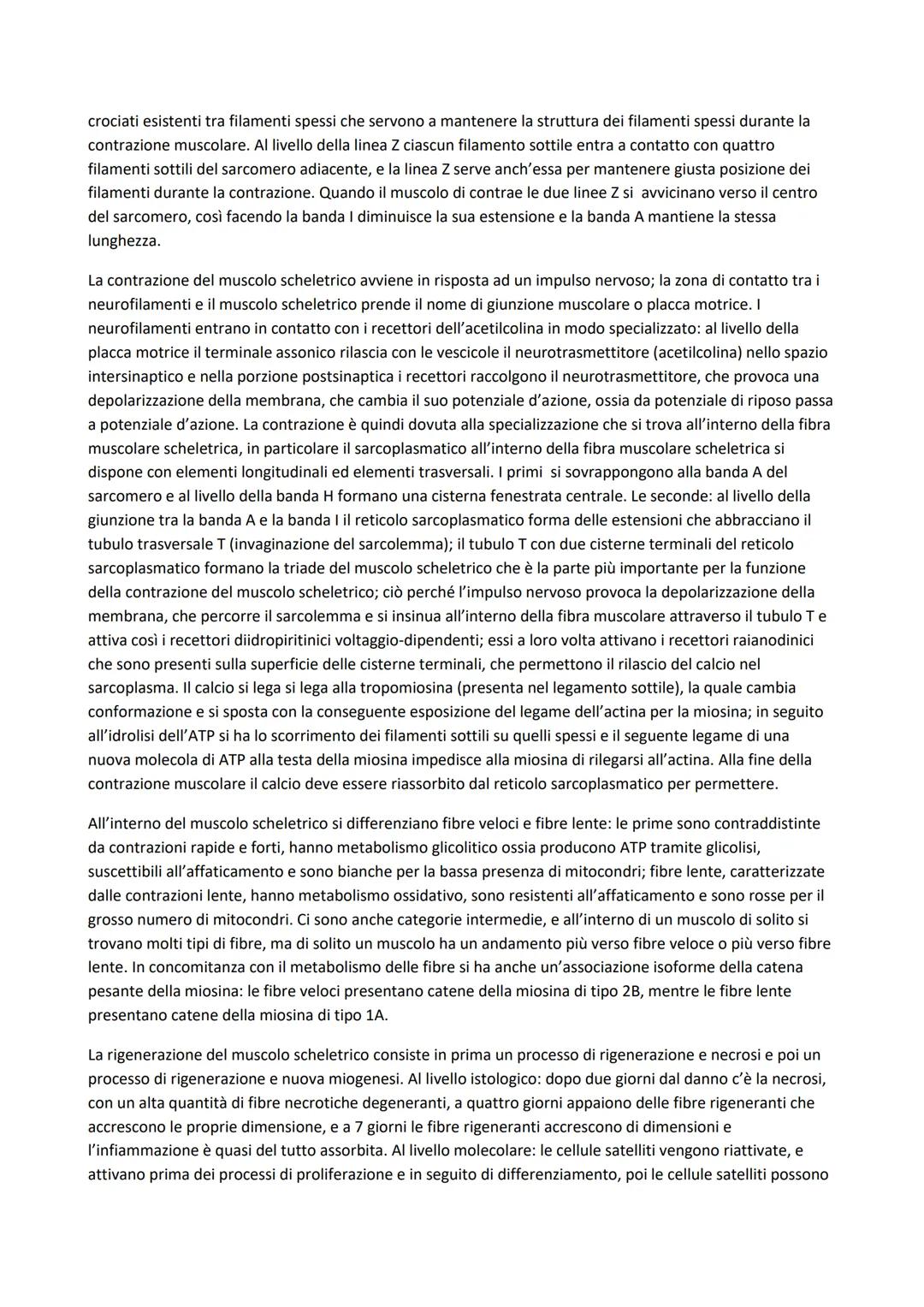 # ISTOLOGIA
È lo studio della struttura microscopica del materiale biologico e del modo in cui le sue cellule interagiscono
tra loro da un