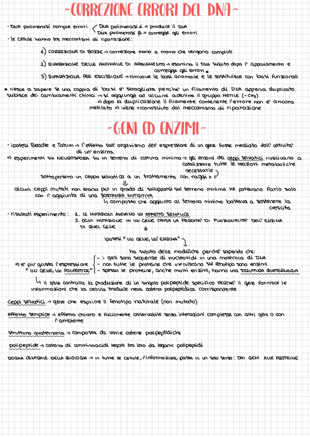 # ~ STRUTTURA DEL DNA ~
molecole costituite da uno succhero pentoso, un gruppo fosfato e una base azotata
(A,T,C,G)
•le basi azotate sono