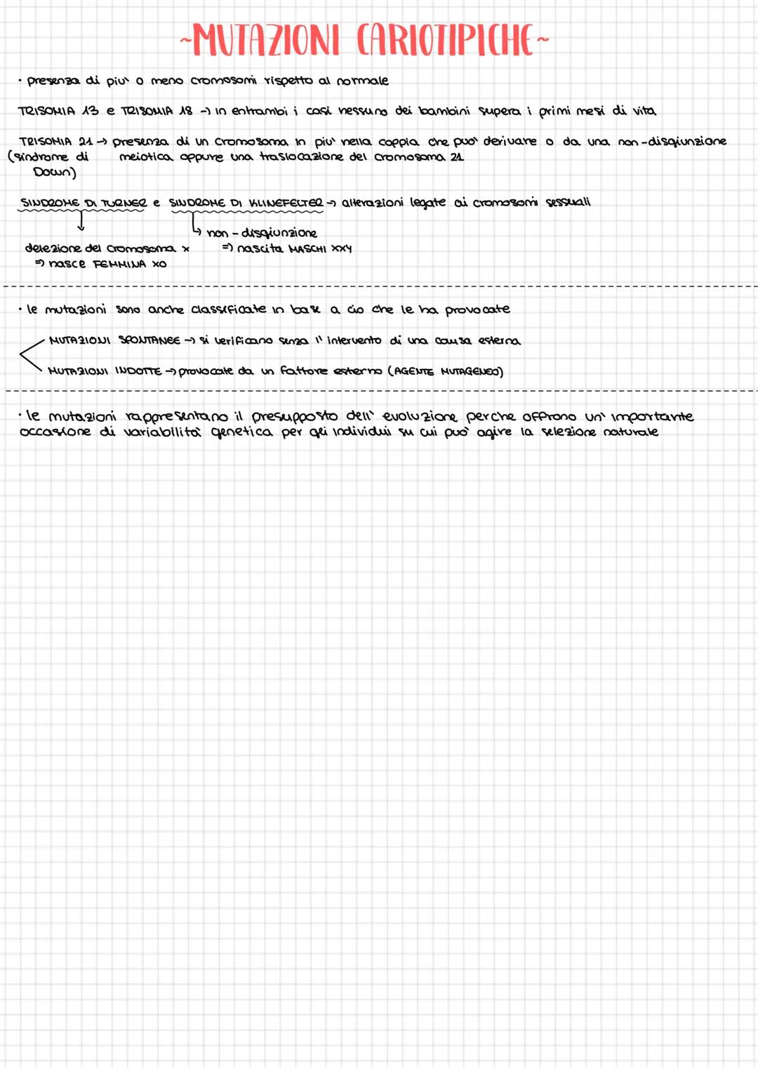 # ~ STRUTTURA DEL DNA ~
molecole costituite da uno succhero pentoso, un gruppo fosfato e una base azotata
(A,T,C,G)
•le basi azotate sono
