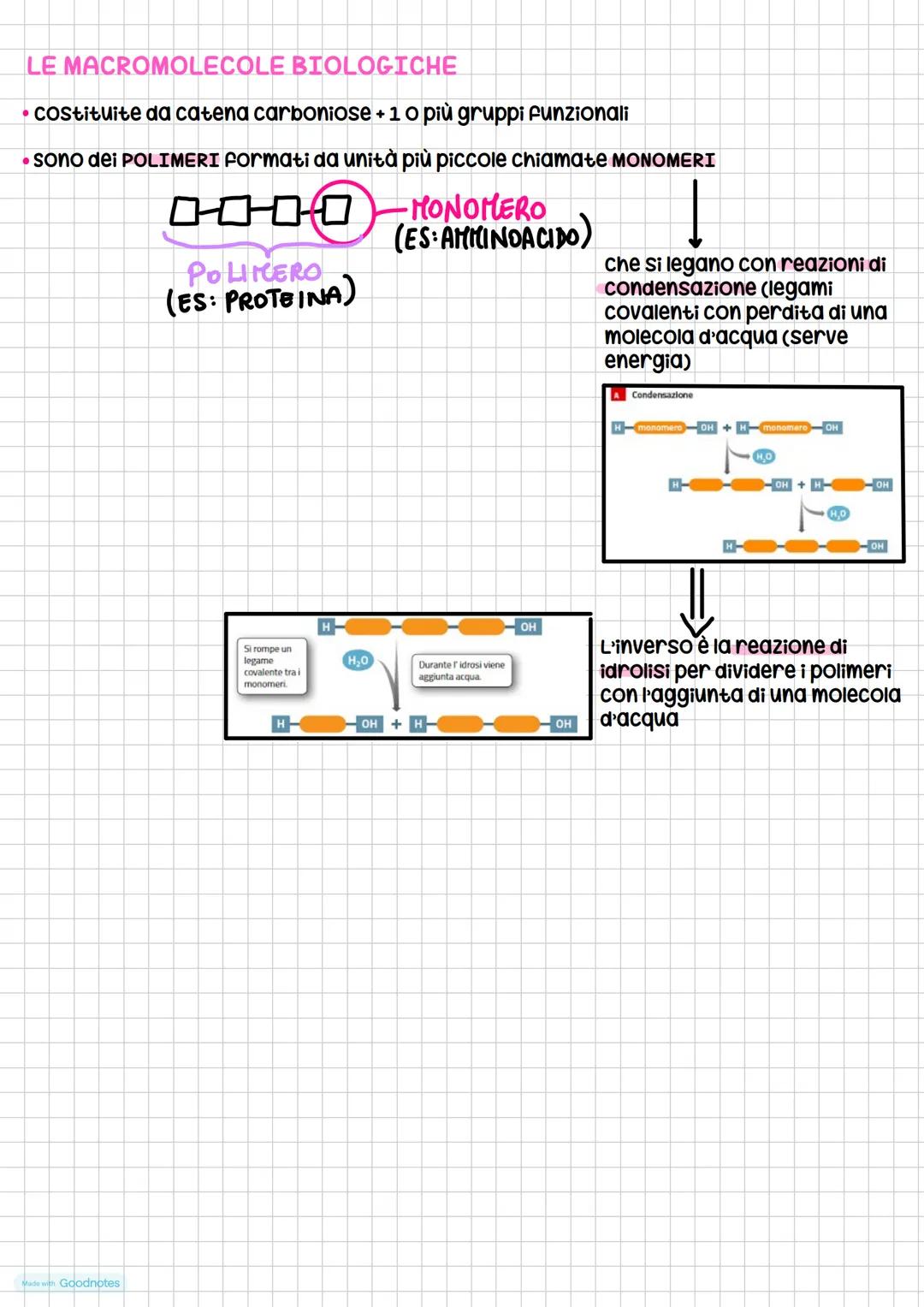 # Le Giomolecole
4 tipi:
* carboidrati
* lipidi
* proteine
* acidi nucleici
composti organici.
(composti formati
da carbonio)
Que