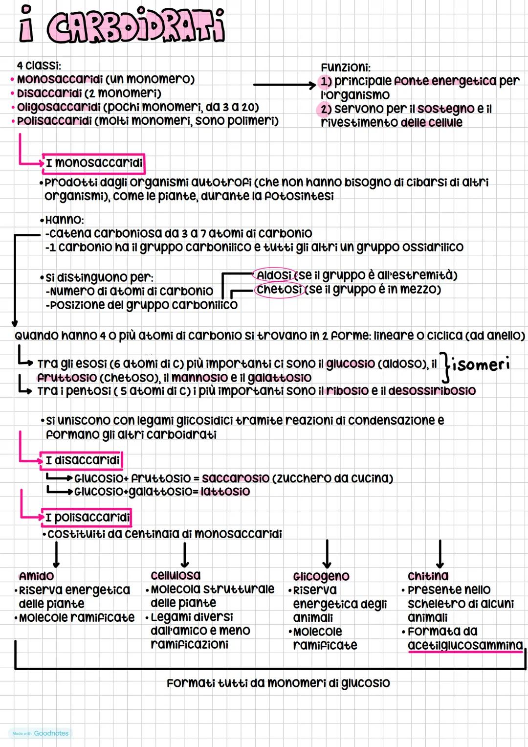 # Le Giomolecole
4 tipi:
* carboidrati
* lipidi
* proteine
* acidi nucleici
composti organici.
(composti formati
da carbonio)
Que