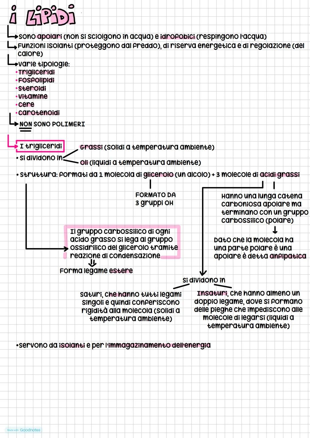 # Le Giomolecole
4 tipi:
* carboidrati
* lipidi
* proteine
* acidi nucleici
composti organici.
(composti formati
da carbonio)
Que
