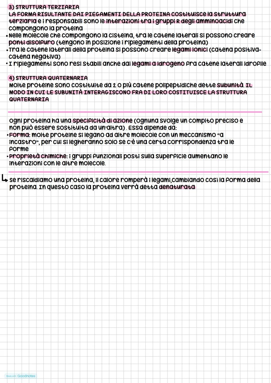 # Le Giomolecole
4 tipi:
* carboidrati
* lipidi
* proteine
* acidi nucleici
composti organici.
(composti formati
da carbonio)
Que