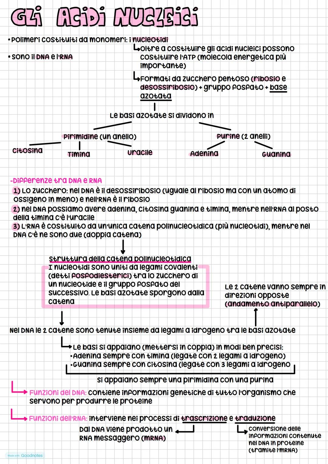 # Le Giomolecole
4 tipi:
* carboidrati
* lipidi
* proteine
* acidi nucleici
composti organici.
(composti formati
da carbonio)
Que