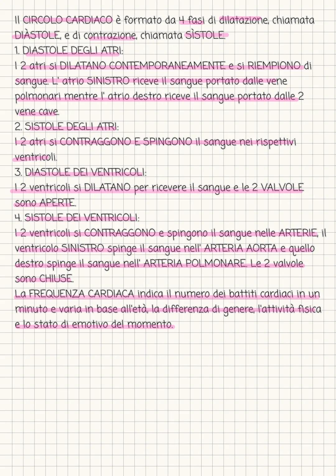 # IL CUORE
II CUORE si trova nel torace ed รจ costituito da un tessuto muscolare
striato chiamato MIOCARDIO ed รจ avvolto da una membrana
chi