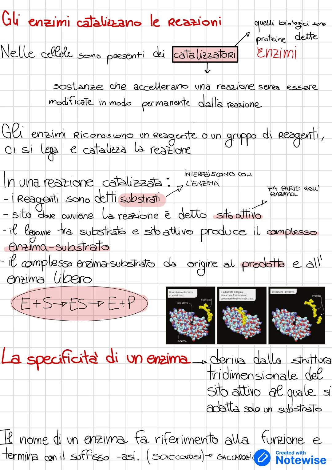 # Gli organismi hanno bisogno di energia proviere
* energia + importante in campo biologico e ENERGIA CHIMICA
energia
è usata per
1