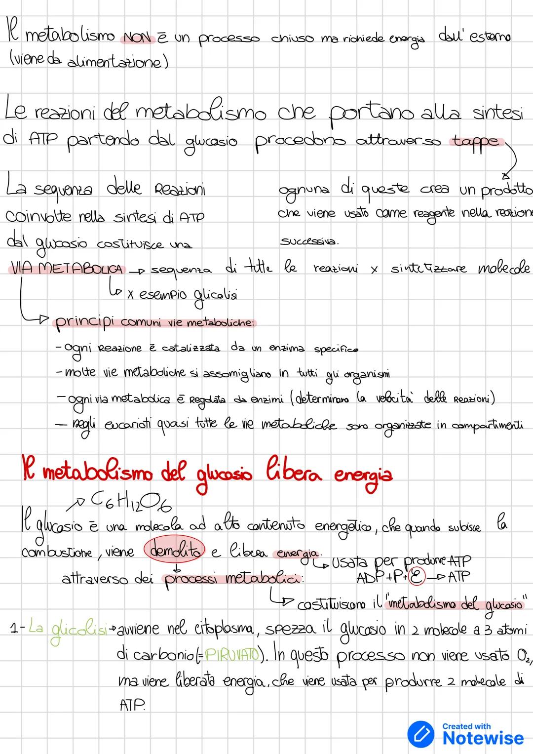 # Gli organismi hanno bisogno di energia proviere
* energia + importante in campo biologico e ENERGIA CHIMICA
energia
è usata per
1