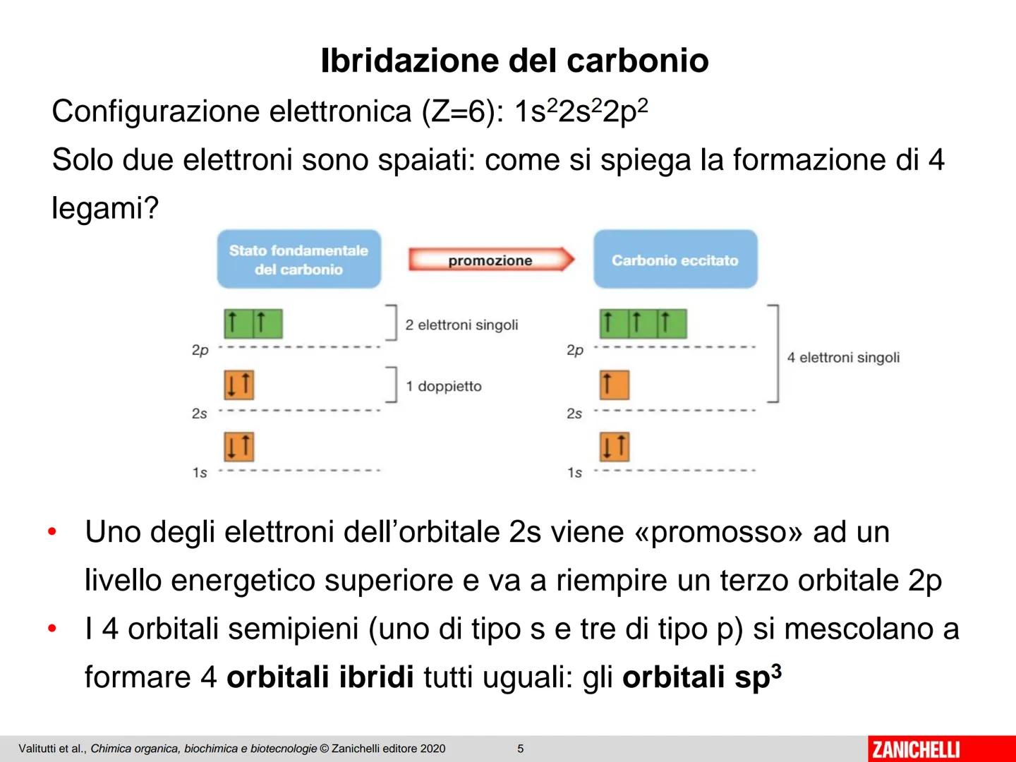 Dal carbonio
agli idrocarburi I composti organici
La chimica organica si occupa di indagare la composizione
e l'organizzazione della materia