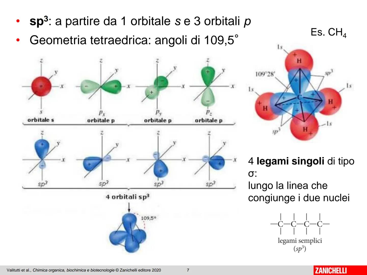 Dal carbonio
agli idrocarburi I composti organici
La chimica organica si occupa di indagare la composizione
e l'organizzazione della materia