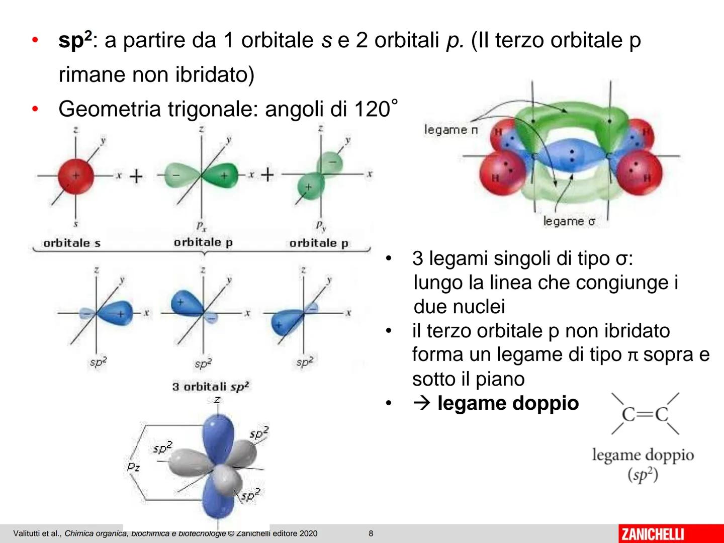 Dal carbonio
agli idrocarburi I composti organici
La chimica organica si occupa di indagare la composizione
e l'organizzazione della materia