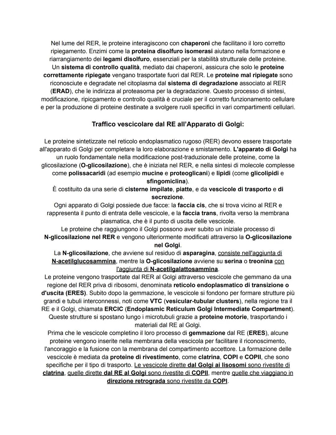 # COME LE PROTEINE EI LIPIDI VENGONO SMISTATI ALL'INTERNO ED
ALL'ESTERNO DELLA CELLULA
Nelle cellule cucariotiche, le proteine e i lipidi v