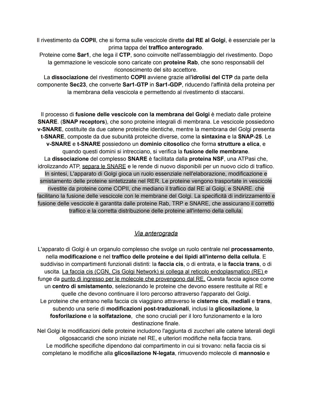 # COME LE PROTEINE EI LIPIDI VENGONO SMISTATI ALL'INTERNO ED
ALL'ESTERNO DELLA CELLULA
Nelle cellule cucariotiche, le proteine e i lipidi v