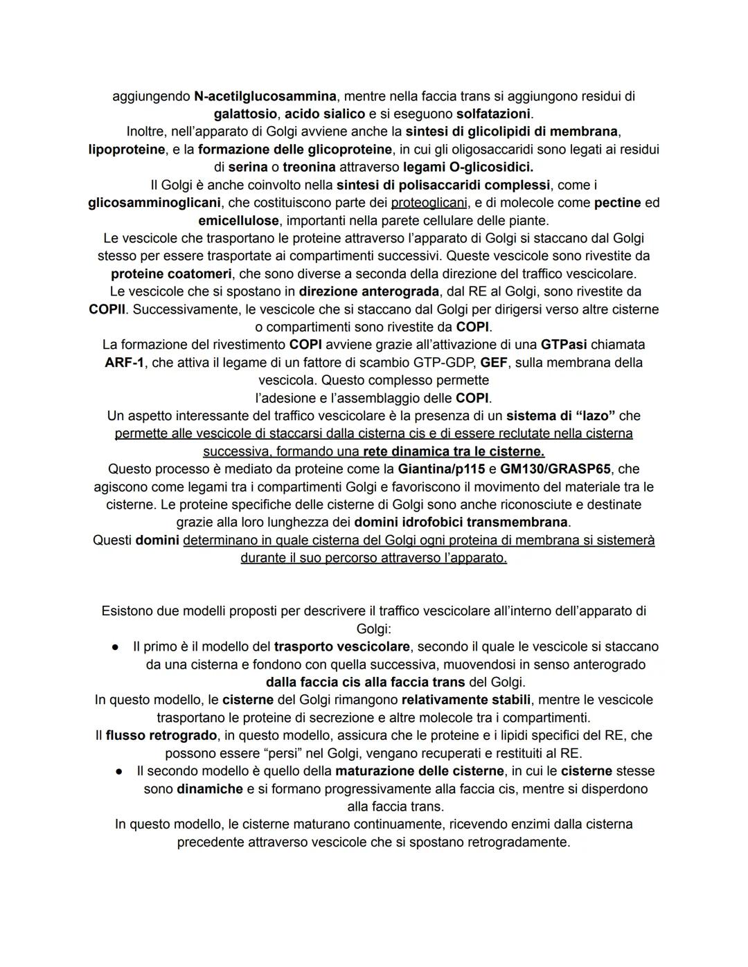 # COME LE PROTEINE EI LIPIDI VENGONO SMISTATI ALL'INTERNO ED
ALL'ESTERNO DELLA CELLULA
Nelle cellule cucariotiche, le proteine e i lipidi v