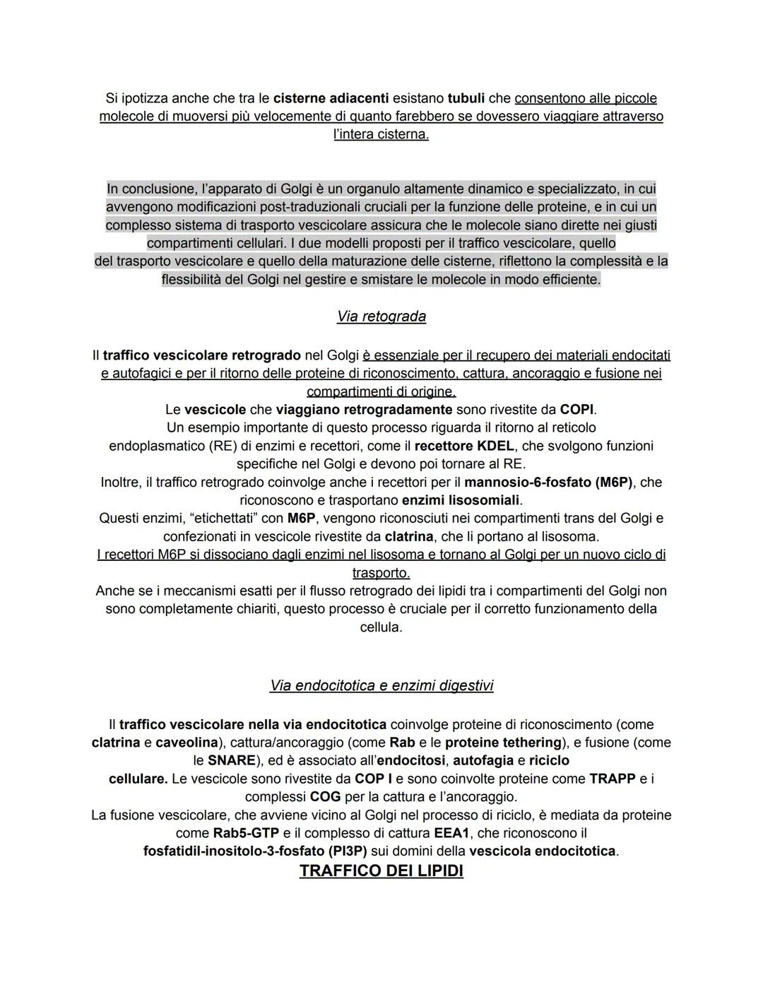 # COME LE PROTEINE EI LIPIDI VENGONO SMISTATI ALL'INTERNO ED
ALL'ESTERNO DELLA CELLULA
Nelle cellule cucariotiche, le proteine e i lipidi v