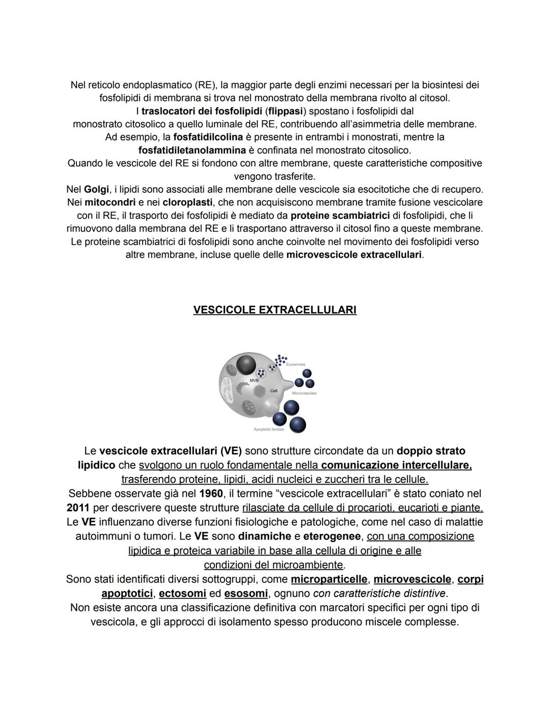 # COME LE PROTEINE EI LIPIDI VENGONO SMISTATI ALL'INTERNO ED
ALL'ESTERNO DELLA CELLULA
Nelle cellule cucariotiche, le proteine e i lipidi v