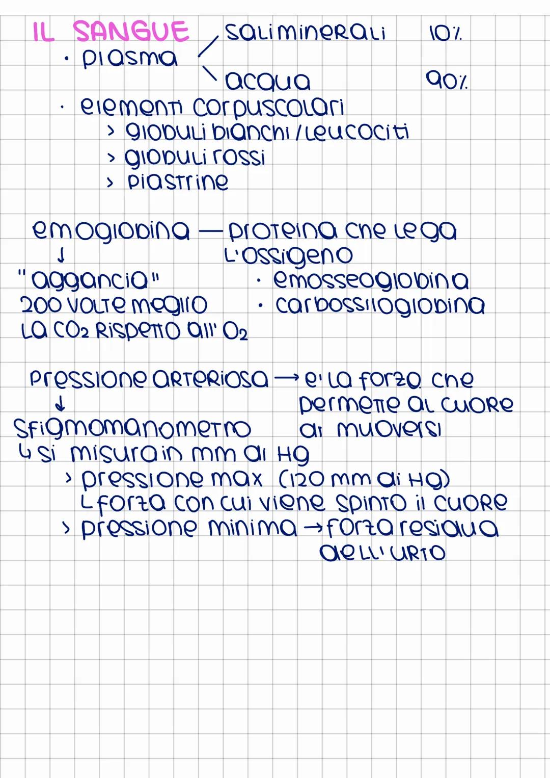 apparato
cardiocircolatorio
Ha la funzione di far muovere il sangue
in Tutto il corpo
↓
1. Trasporto Ossigeno
2. TROSPORTO sostanze nutritiv
