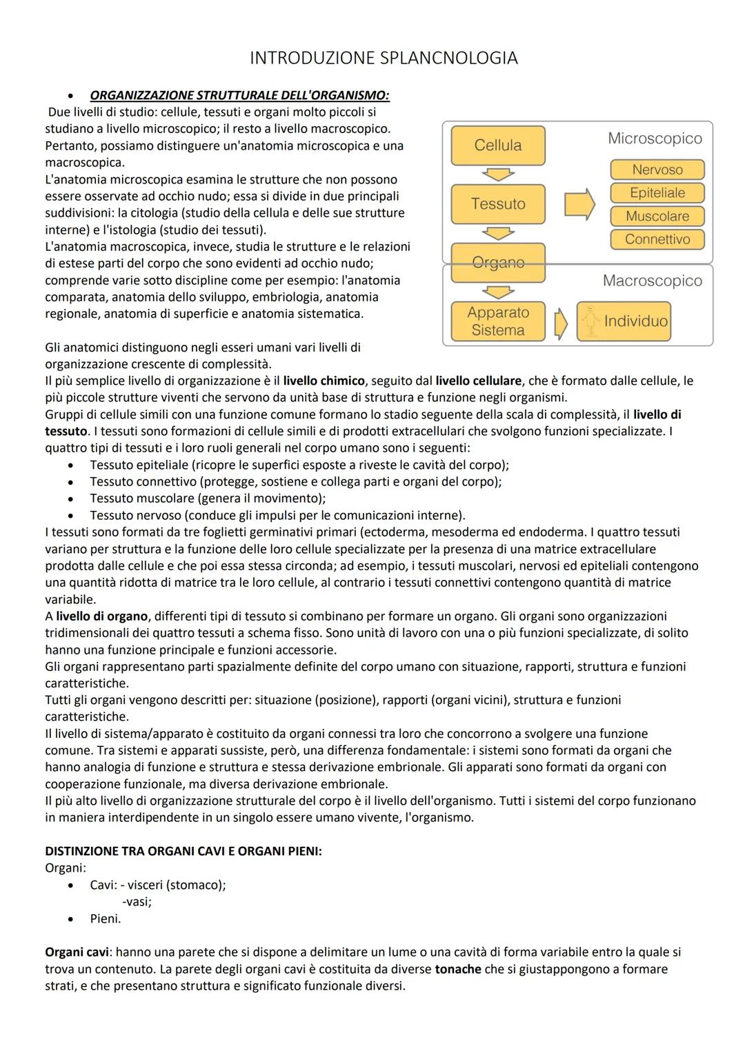 # INTRODUZIONE GENERALE
# TERMINI DI POSIZIONE:
Le descrizioni di tutte le regioni o parti del corpo umano richiedono un punto di riferimen