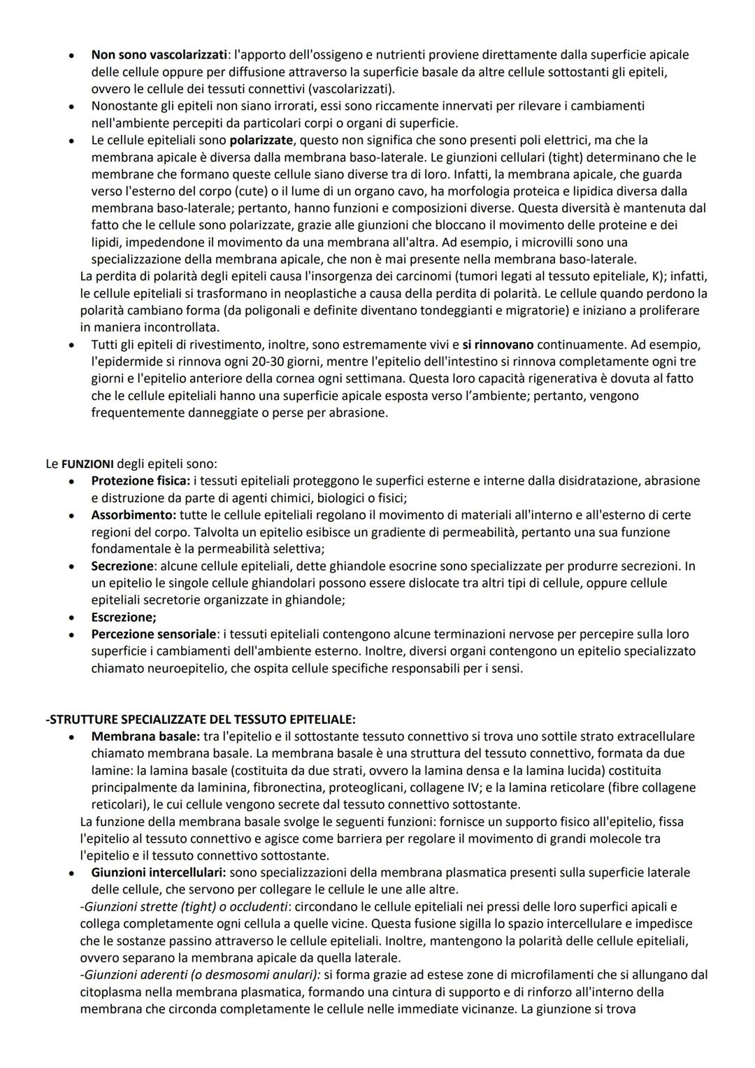 # INTRODUZIONE GENERALE
# TERMINI DI POSIZIONE:
Le descrizioni di tutte le regioni o parti del corpo umano richiedono un punto di riferimen