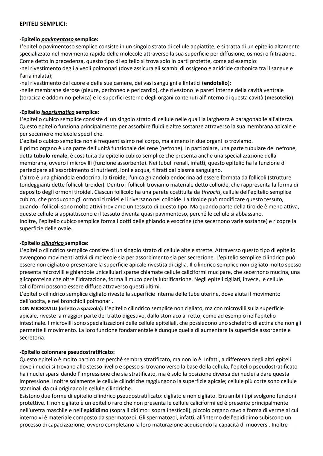 # INTRODUZIONE GENERALE
# TERMINI DI POSIZIONE:
Le descrizioni di tutte le regioni o parti del corpo umano richiedono un punto di riferimen